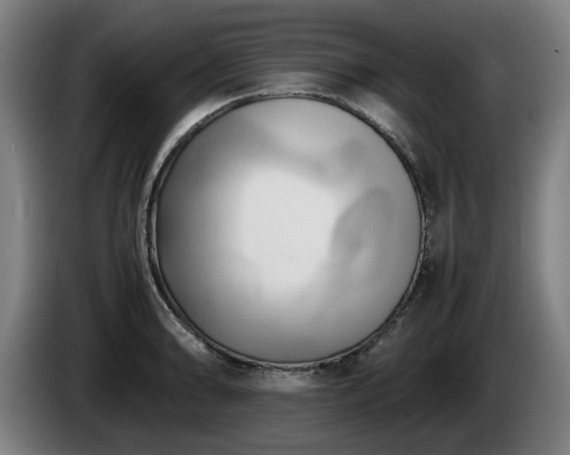 X0000086081086200703301123