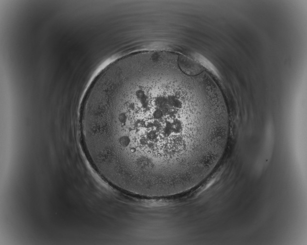 X0000086081087200703301123