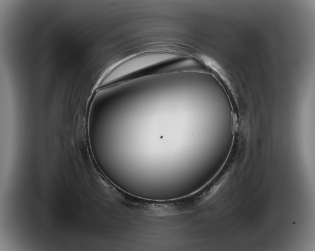 X0000086081089200703301123