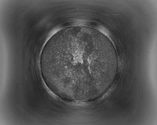 X0000086081090200703301123