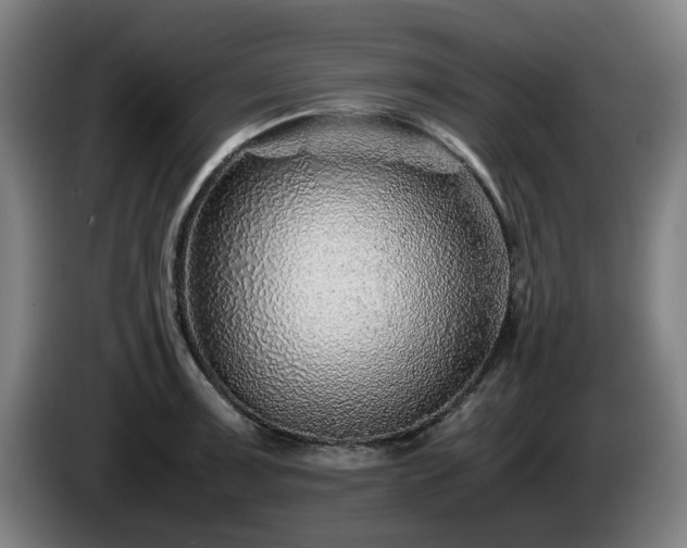 X0000086081091200703301123