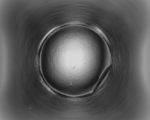 X0000086081092200703301123