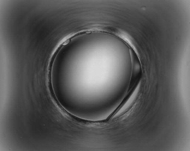 X0000086081093200703301123