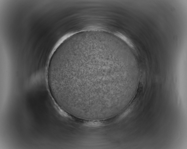 X0000086081094200703301123