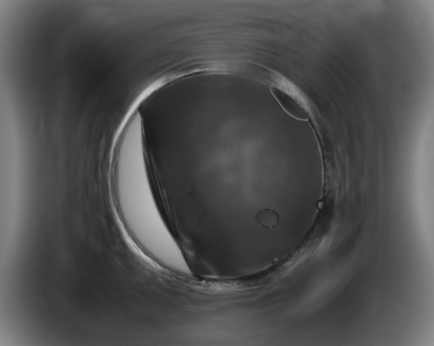 X0000086081095200703301123