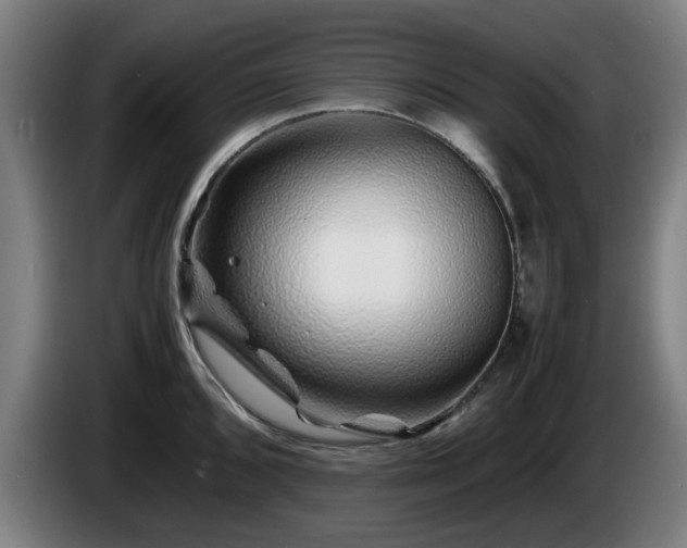 X0000086081096200703301123