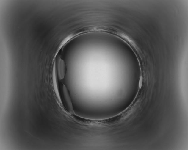 X0000086081097200703301123