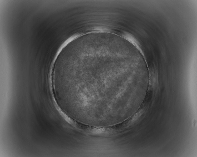 X0000086081098200703301123