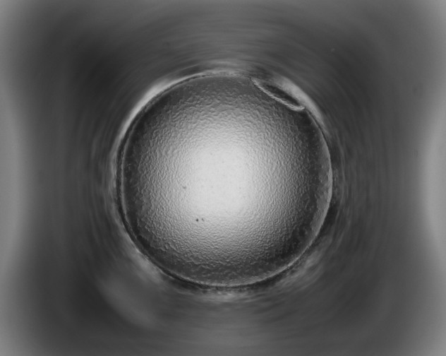 X0000086081099200703301123