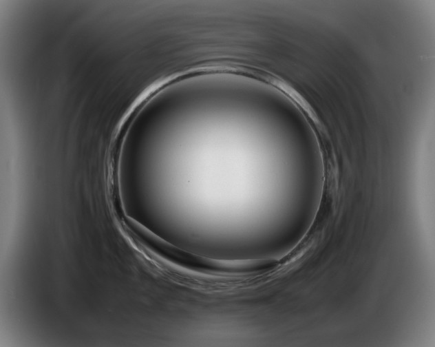 X0000086081101200703301123