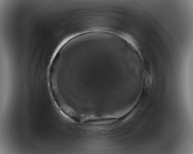 X0000086081102200703301123