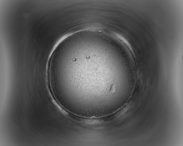 X0000086081103200703301123