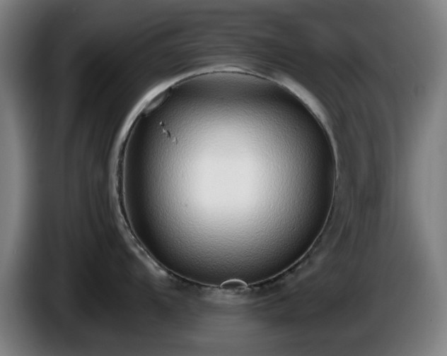 X0000086081104200703301123