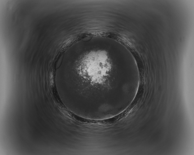 X0000086081106200703301122