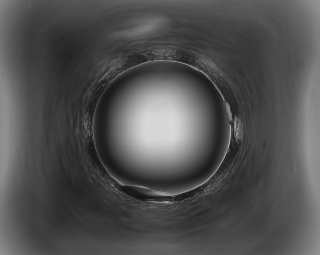 X0000086081107200703301122