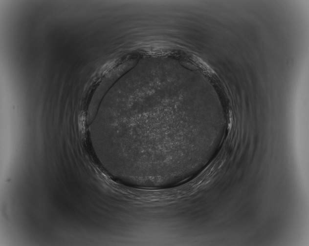 X0000086081108200703301122