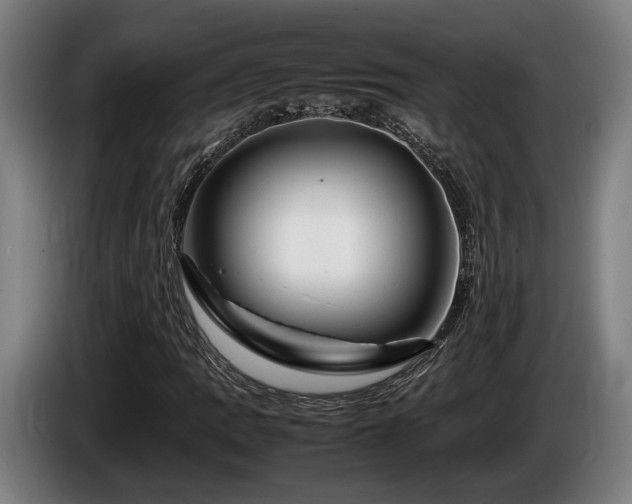 X0000086081109200703301122