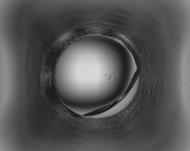 X0000086081111200703301122