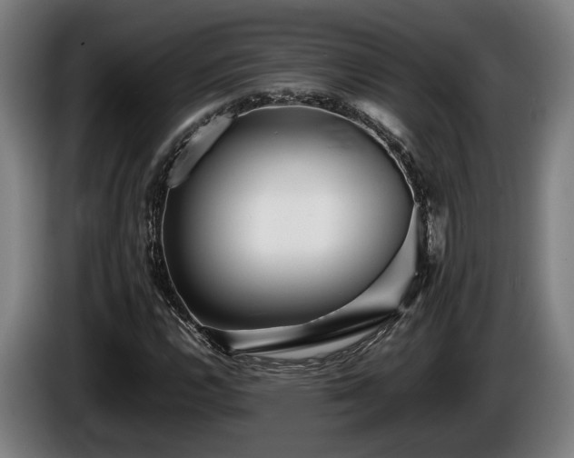 X0000086081112200703301122