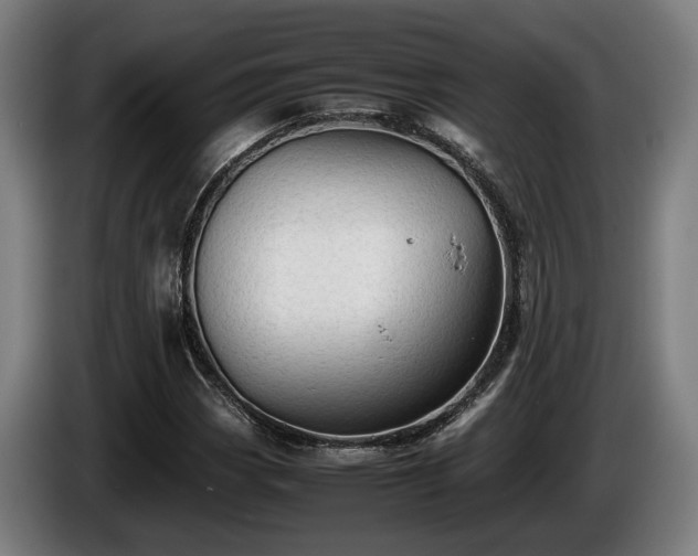 X0000086081113200703301122