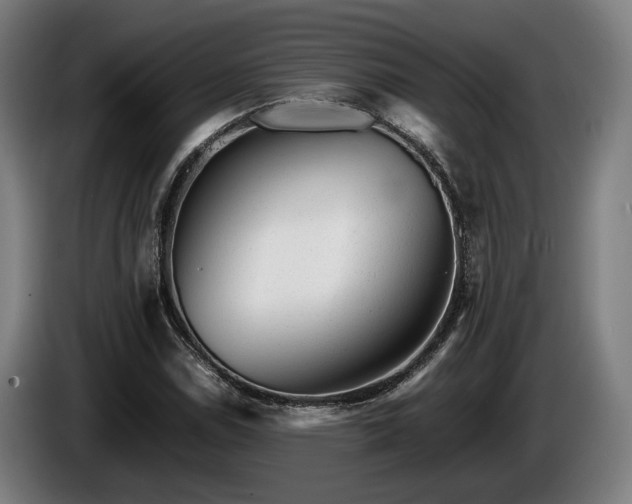 X0000086081114200703301122