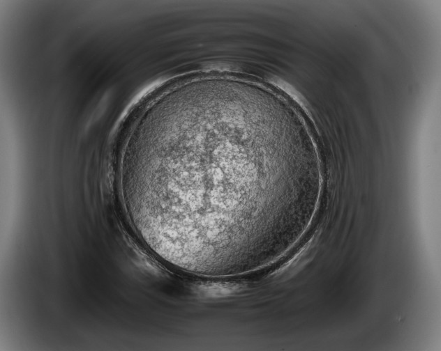 X0000086081115200703301122