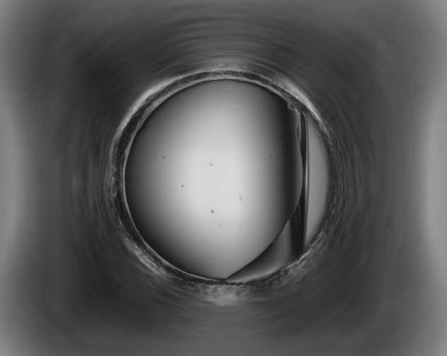 X0000086081116200703301122