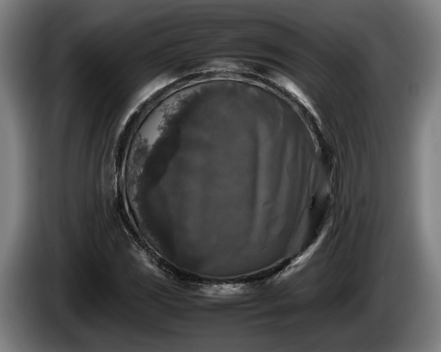 X0000086081117200703301122