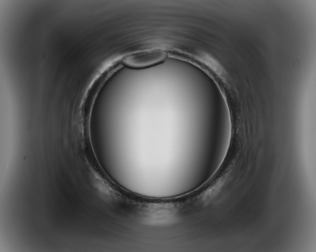 X0000086081118200703301122