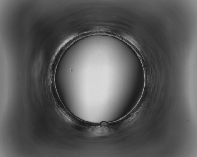 X0000086081119200703301122