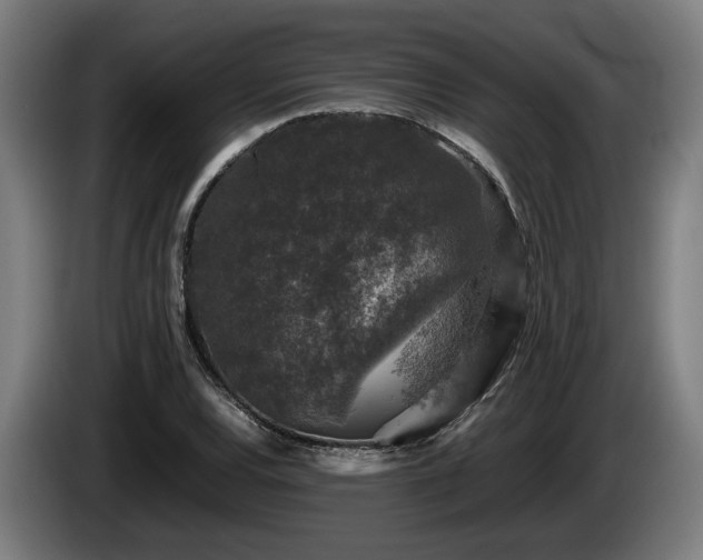 X0000086081120200703301122