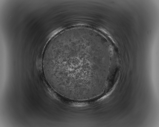 X0000086081121200703301122