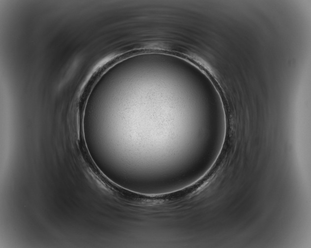 X0000086081123200703301122