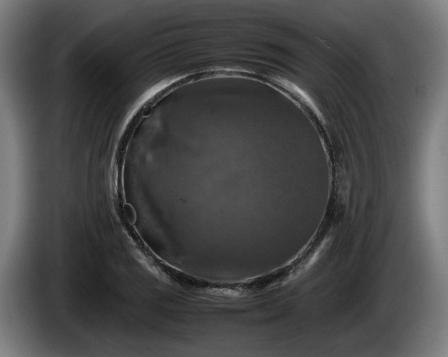 X0000086081125200703301122