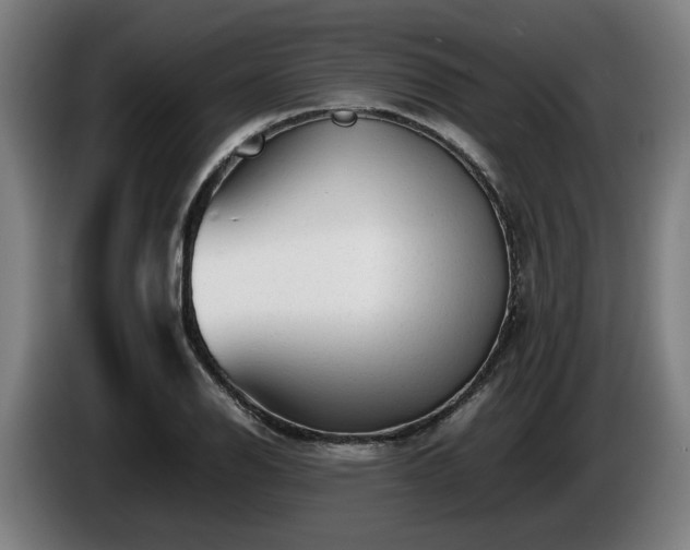 X0000086081126200703301122