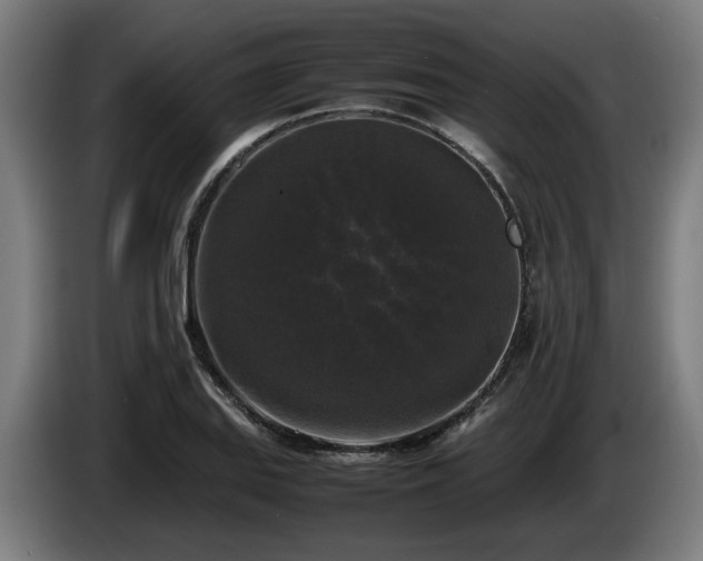 X0000086081127200703301122