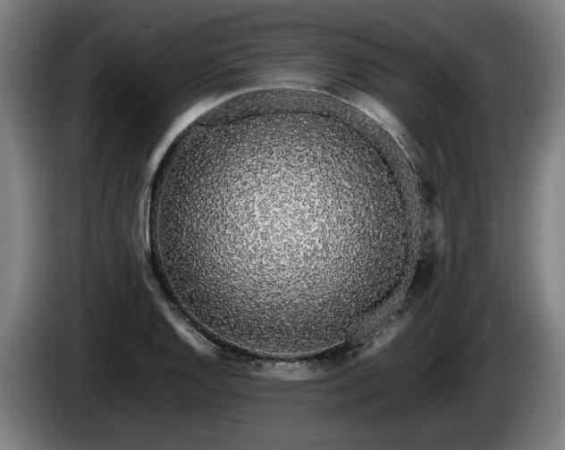 X0000086081128200703301122