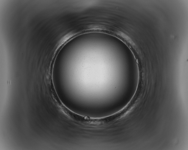 X0000086081129200703301122