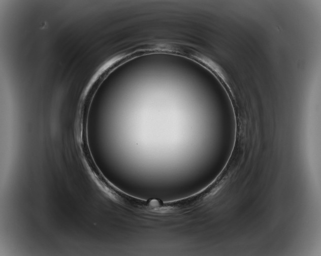 X0000086081131200703301122