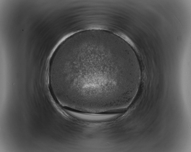 X0000086081132200703301122