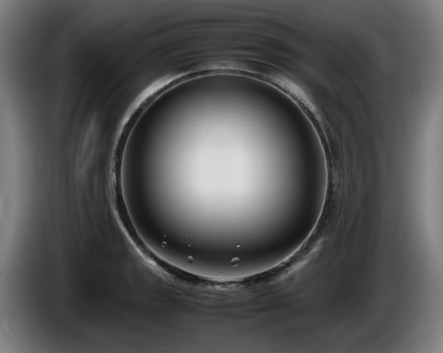 X0000086081133200703301123