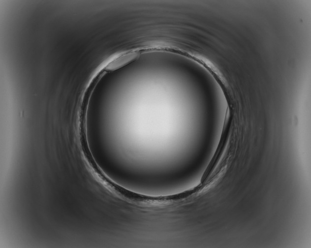 X0000086081134200703301123