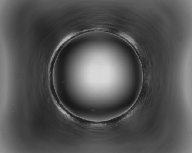 X0000086081135200703301123