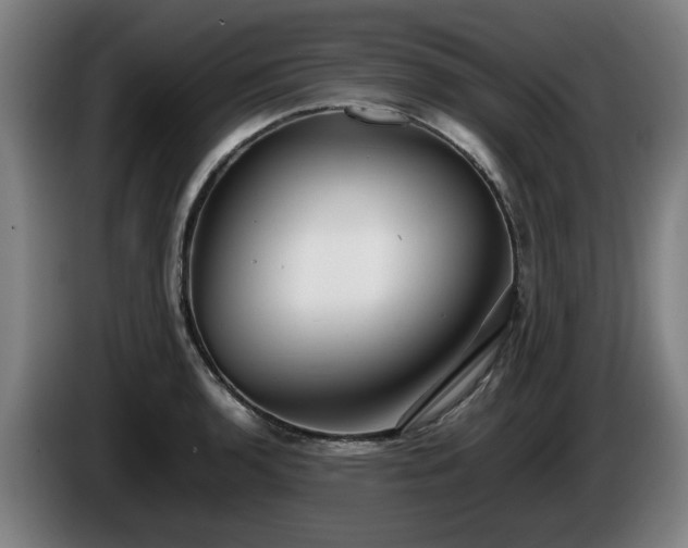 X0000086081136200703301123