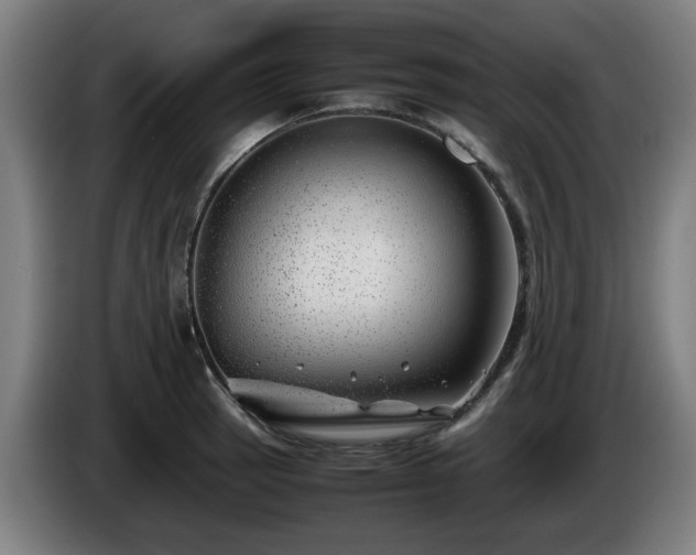 X0000086081137200703301123