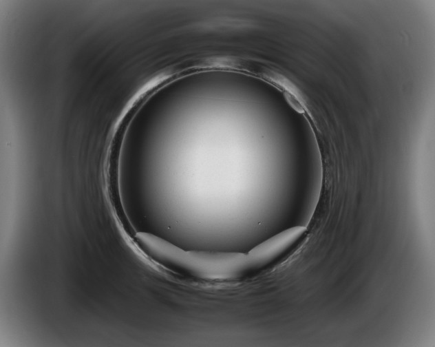 X0000086081139200703301123