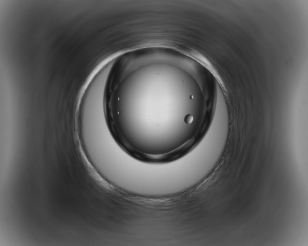 X0000086081140200703301123