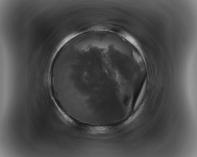 X0000086081141200703301123