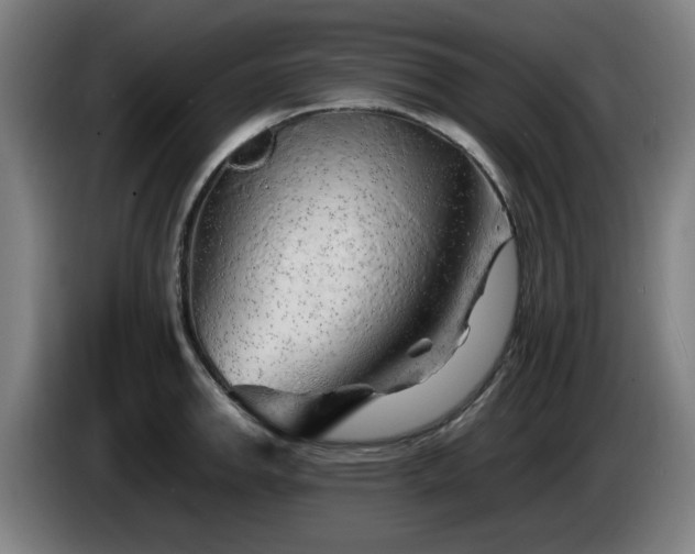 X0000086081142200703301123