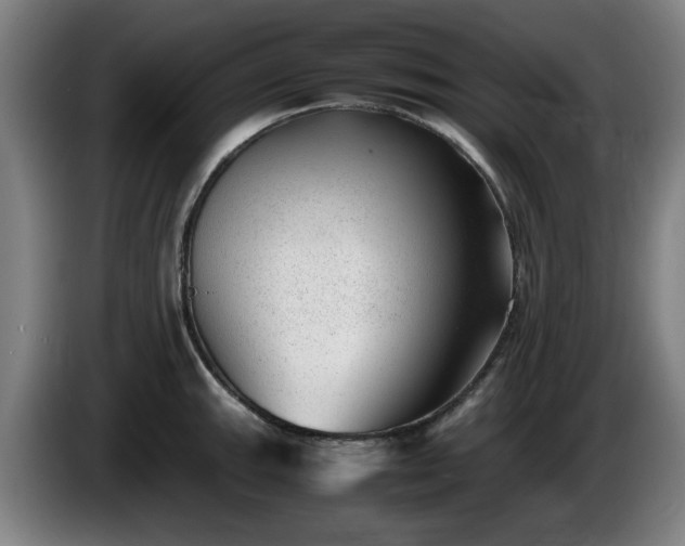 X0000086081143200703301123